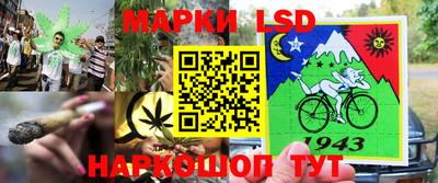 гашик Ипатово