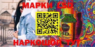 шишки Кандалакша