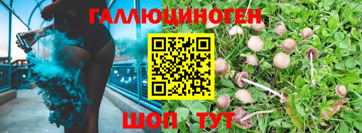 Псилоцибиновые грибы MAGIC MUSHROOMS  Псилоцибиновые грибы MAGIC MUSHROOMS  Вход с VPN  Мариинск 