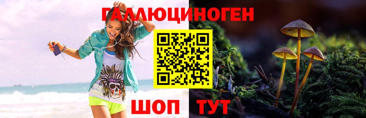 Галлюциногенные грибы Psilocybine cubensis Мариинск